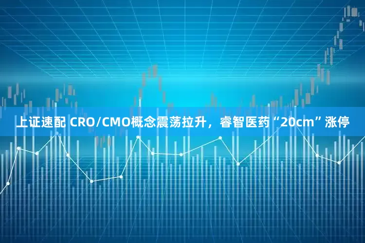 上证速配 CRO/CMO概念震荡拉升，睿智医药“20cm”涨停