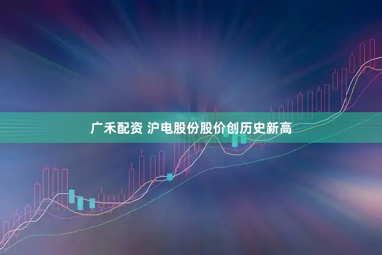 广禾配资 沪电股份股价创历史新高