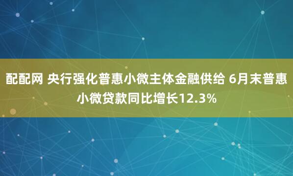 配配网 央行强化普惠小微主体金融供给 6月末普惠小微贷款同比增长12.3%
